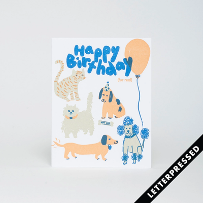 egg press greeting card happy birthday fur real dogs