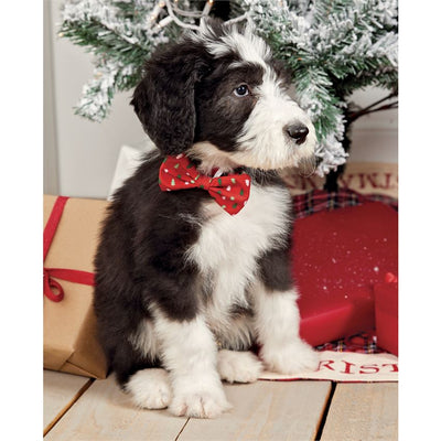 Holiday Dog Bows - Bella Bea Boutique