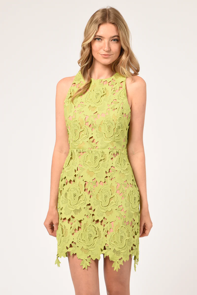 adelyn rae cassie crochet mini dress lime green